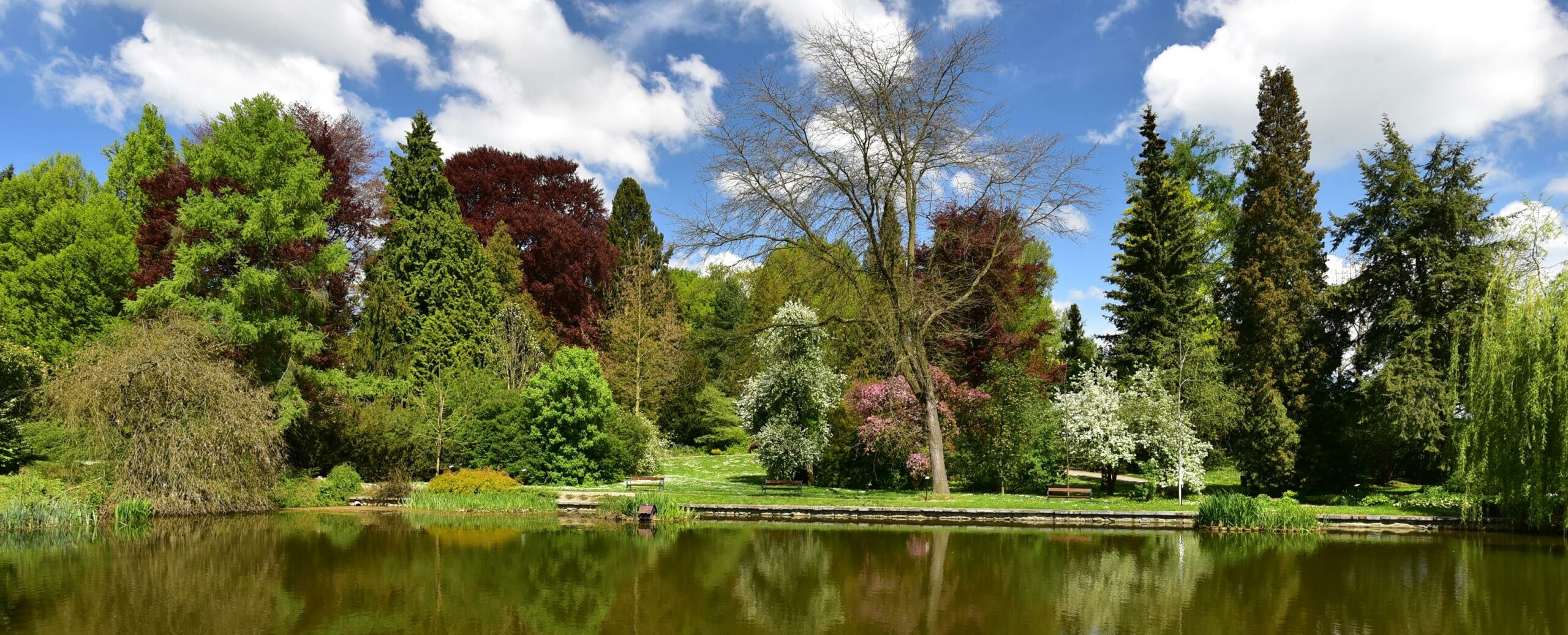 Tip na výlet - Arboretum Bílá Lhota | Moderní zahrada
